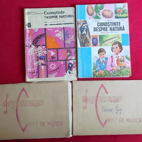 Manuale vechi din anii '80 + doua caiete de muzica